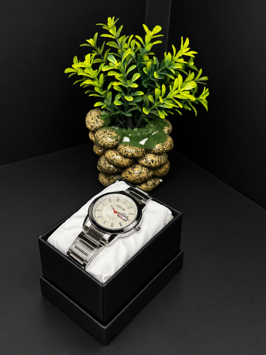 DINUO Luxury Stainless Steel Men’s Watch – Elegant Day & Date Display